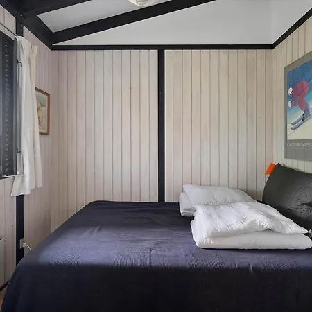 Ferienhaus Fj1030-jaegerspris-sandsporet-5